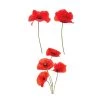 STC Stickers Muraux Autocollant Pour Vitres Coquelicots 44,5x51cm -Papiers peints Soldes autocollant pour vitres coquelicots 44 5x51cm