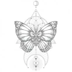 STC Stickers Muraux Décoration Adhésive Murale Papillon 70x50