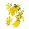 STC Stickers Muraux Décoration Murale Adhésive Mimosa 68x46cm -Papiers peints Soldes decoration murale adhesive mimosa 68x46cm