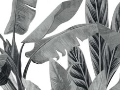 Hexoa Papiers Peints Papier Peint Bananier En Monochrome 53x840cm -Papiers peints Soldes papier peint bananier en monochrome 53x840cm 2