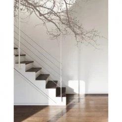 Acte Deco Papiers Peints Papier Peint Panoramique Abstract Branch - 250x170 -Papiers peints Soldes papier peint panoramique abstract branch 250x170 4