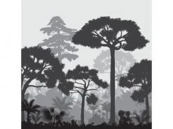 Le Grand Cirque Papiers Peints Papier Peint Panoramique Adhésif Douanier Rousseau 3m50x2m50 -Papiers peints Soldes papier peint panoramique adhesif douanier rousseau 3m50x2m50 2