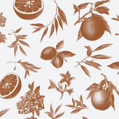 Acte Deco Papiers Peints Papier Peint Panoramique Agrumes - 250x170 7 Acte Deco Papiers Peints Papier Peint Panoramique Agrumes - 250x170 – Image 5