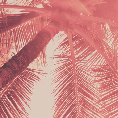 Acte Deco Papiers Peints Papier Peint Panoramique Blurry Red - 250x170 7 Acte Deco Papiers Peints Papier Peint Panoramique Blurry Red - 250x170 – Image 5