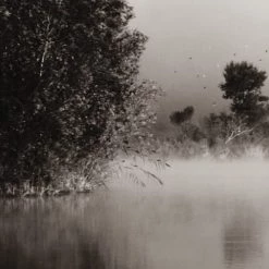 Acte Deco Papiers Peints Papier Peint Panoramique Brumes Matinales 06 - 250x425 -Papiers peints Soldes papier peint panoramique brumes matinales 06 250x425 4