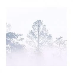 Acte Deco Papiers Peints Papier Peint Panoramique Brumes Matinales 08 - 250x425 -Papiers peints Soldes papier peint panoramique brumes matinales 08 250x425 5