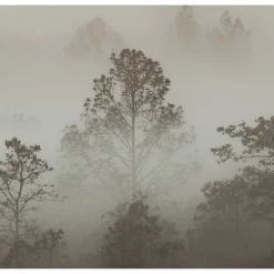 Acte Deco Papiers Peints Papier Peint Panoramique Brumes Matinales - 250x340 12 Acte Deco Papiers Peints Papier Peint Panoramique Brumes Matinales - 250x340 -Papiers peints Soldes papier peint panoramique brumes matinales 250x340 5
