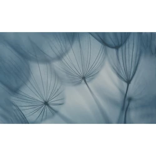 Acte Deco Papiers Peints Papier Peint Panoramique Dandelion - 250x170 4 Acte Deco Papiers Peints Papier Peint Panoramique Dandelion - 250x170 – Image 2