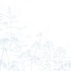 Acte Deco Papiers Peints Papier Peint Panoramique Dans Les Champs - 250x170 11 Acte Deco Papiers Peints Papier Peint Panoramique Dans Les Champs - 250x170 -Papiers peints Soldes papier peint panoramique dans les champs 250x170 4