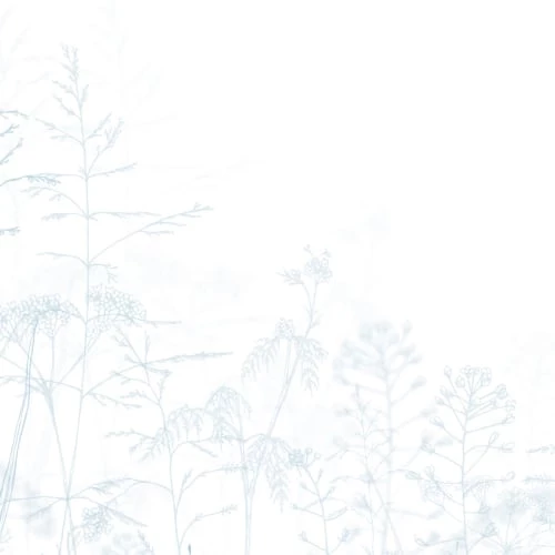 Acte Deco Papiers Peints Papier Peint Panoramique Dans Les Champs - 250x170 6 Acte Deco Papiers Peints Papier Peint Panoramique Dans Les Champs - 250x170 – Image 4