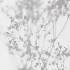 Acte Deco Papiers Peints Papier Peint Panoramique Douceur Végétale - 250x170 -Papiers peints Soldes papier peint panoramique douceur vegetale 250x170 15