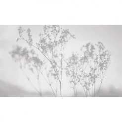 Acte Deco Papiers Peints Papier Peint Panoramique Douceur Végétale - 250x255 -Papiers peints Soldes papier peint panoramique douceur vegetale 250x255 20