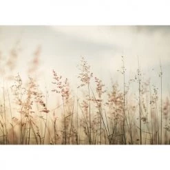 Lé Papiers De Ninon Papiers Peints Papier Peint Panoramique En Papier Beige Clair 384x270 11 Lé Papiers De Ninon Papiers Peints Papier Peint Panoramique En Papier Beige Clair 384x270 -Papiers peints Soldes papier peint panoramique en papier beige clair 384x270 5