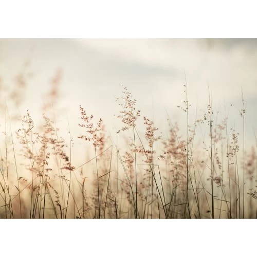 Lé Papiers De Ninon Papiers Peints Papier Peint Panoramique En Papier Beige Clair 384x270 7 Lé Papiers De Ninon Papiers Peints Papier Peint Panoramique En Papier Beige Clair 384x270 – Image 5