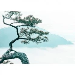 Lé Papiers De Ninon Papiers Peints Papier Peint Panoramique En Papier Blanc 384x270 -Papiers peints Soldes papier peint panoramique en papier blanc 384x270 3