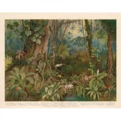 Lé Papiers De Ninon Papiers Peints Papier Peint Panoramique En Papier Multicolore 336x265 -Papiers peints Soldes papier peint panoramique en papier multicolore 336x265 3