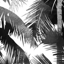 Lé Papiers De Ninon Papiers Peints Papier Peint Panoramique En Papier Noir 240x270 -Papiers peints Soldes papier peint panoramique en papier noir 240x270 5