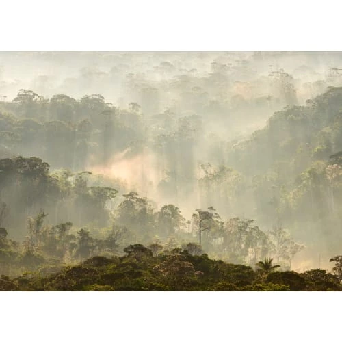 Lé Papiers De Ninon Papiers Peints Papier Peint Panoramique En Papier Vert Kaki 384x270 4 Lé Papiers De Ninon Papiers Peints Papier Peint Panoramique En Papier Vert Kaki 384x270 – Image 2