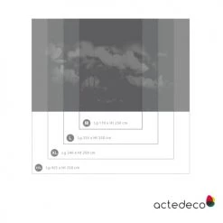 Acte Deco Papiers Peints Papier Peint Panoramique Fleurs De Cosmos - 250x255 -Papiers peints Soldes papier peint panoramique fleurs de cosmos 250x255 11