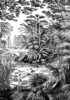 Ciment Factory Papiers Peints Papier Peint Panoramique Gravure Tropiques 270x195cm -Papiers peints Soldes papier peint panoramique gravure tropiques 270x195cm 1