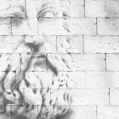 99Déco Papiers Peints Papier Peint Panoramique Intissé 336x270cm -Papiers peints Soldes papier peint panoramique intisse 336x270cm 29