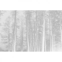 Acte Deco Papiers Peints Papier Peint Panoramique La Forêt Enchantée - 250x255 -Papiers peints Soldes papier peint panoramique la foret enchantee 250x255 14