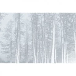 Acte Deco Papiers Peints Papier Peint Panoramique La Forêt Enchantée - 250x425 -Papiers peints Soldes papier peint panoramique la foret enchantee 250x425 8