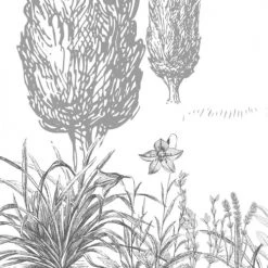 99Déco Papiers Peints Papier Peint Panoramique Paysage Provence 336x270cm -Papiers peints Soldes papier peint panoramique paysage provence 336x270cm 2