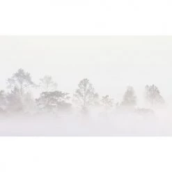 Acte Deco Papiers Peints Papier Peint Panoramique Quiet Landscape 03 - 250x255 -Papiers peints Soldes papier peint panoramique quiet landscape 03 250x255 3