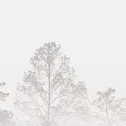 Acte Deco Papiers Peints Papier Peint Panoramique Quiet Landscape 03 - 250x255 -Papiers peints Soldes papier peint panoramique quiet landscape 03 250x255 6