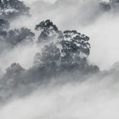 Acte Deco Papiers Peints Papier Peint Panoramique Quiet Landscape - 250x340 13 Acte Deco Papiers Peints Papier Peint Panoramique Quiet Landscape - 250x340 -Papiers peints Soldes papier peint panoramique quiet landscape 250x340 6