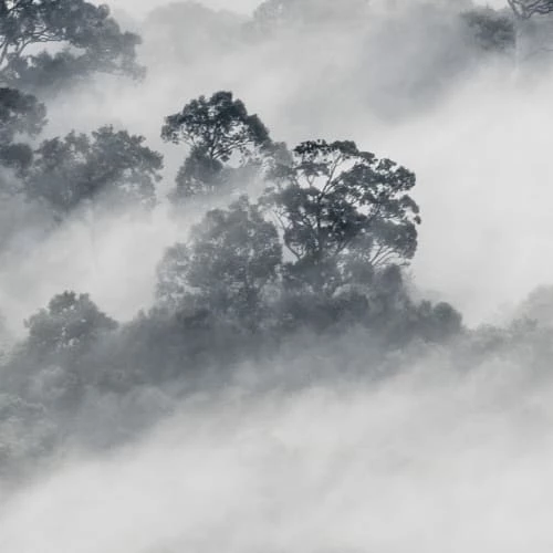 Acte Deco Papiers Peints Papier Peint Panoramique Quiet Landscape - 250x340 8 Acte Deco Papiers Peints Papier Peint Panoramique Quiet Landscape - 250x340 – Image 6