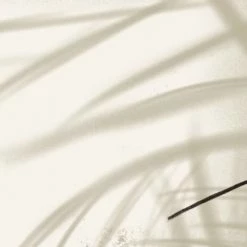 Acte Deco Papiers Peints Papier Peint Panoramique Shadow - 250x170 -Papiers peints Soldes papier peint panoramique shadow 250x170 3