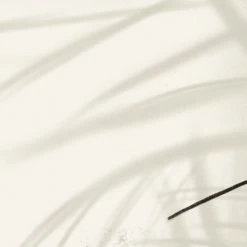 Acte Deco Papiers Peints Papier Peint Panoramique Shadow - 250x340 -Papiers peints Soldes papier peint panoramique shadow 250x340 3