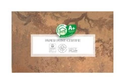 Yeda Design Papiers Peints Papier Peint Ruines Antiques 255x260 -Papiers peints Soldes papier peint ruines antiques 255x260 4