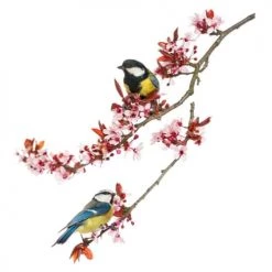 STC Stickers Muraux Moineaux Sur Branches 44x37cm